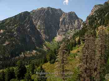 Jackson Hole, Wy - August 2007