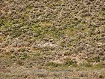 Jackson Hole, Wy - August 2007