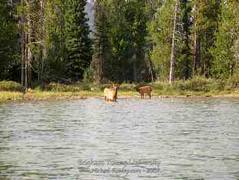Jackson Hole, Wy - August 2007