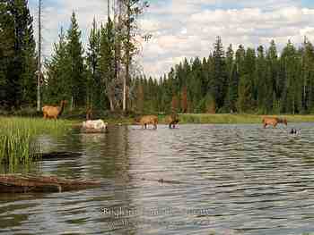Jackson Hole, Wy - August 2007