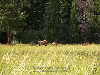 Jackson Hole, Wy - August 2007