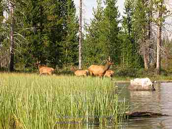 Jackson Hole, Wy - August 2007
