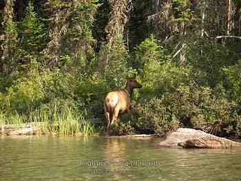 Jackson Hole, Wy - August 2007