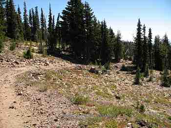 29 August 2007 - Mt. Adams Summit Hike