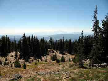 29 August 2007 - Mt. Adams Summit Hike